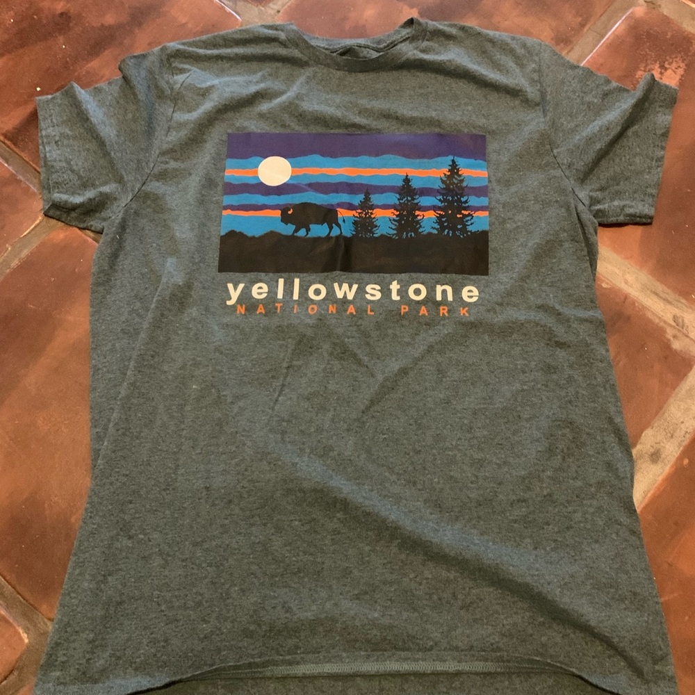 Gray Short Sleeve Tee with Mountain Graphic